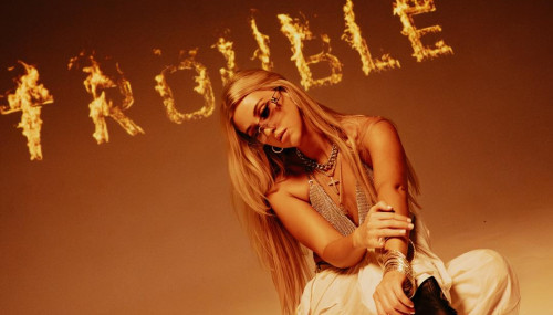 Image publishing Fresh release "Trouble" by DJ Brooklyn is OUT!